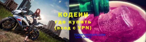 дурь Покачи