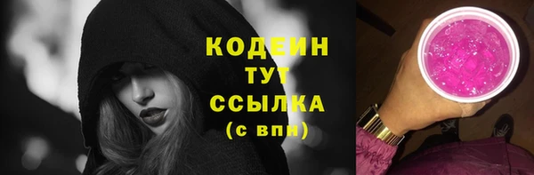 дурь Покачи