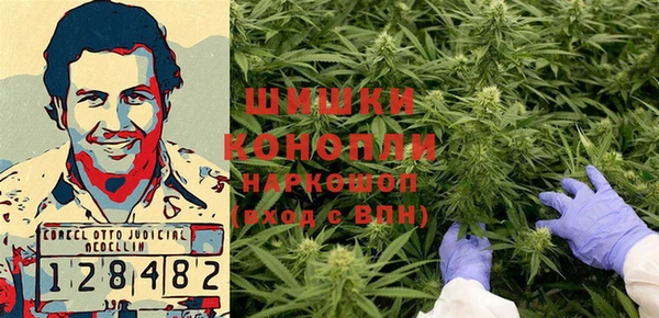 дурь Покачи