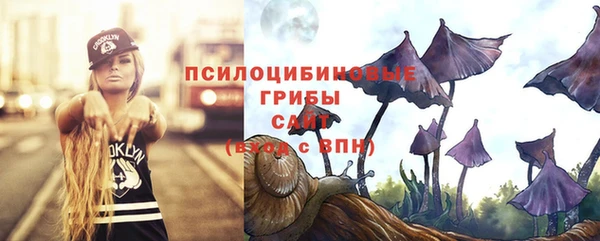 дурь Покачи
