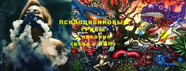 дурь Покачи