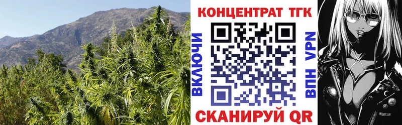 Дистиллят ТГК Wax Устюжна