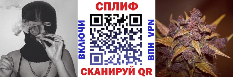 Бошки Шишки White Widow как найти наркотики Устюжна